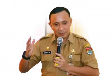 Hati-hati, Ada Ratusan Warga Lubuk Linggau Kena Gigitan Hewan Penular Rabies