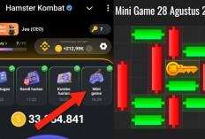 Update Terbaru Kunci Mini Game Hamster Kombat Hari Ini 28 Agustus 2024, Ikuti Polanya Dalam Waktu 30 Detik