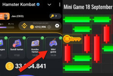 Kunci Mini Game Hamster Kombat Hari Ini Rabu 18 September 2024, Ini Polanya