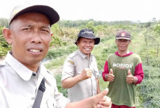 Antisipasi Serangan Hama dan Penyakit, PPL di Musi Rawas Rutin Lakukan Monitoring
