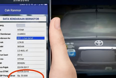 Pengen Cek Plat Nomor Kendaraan Secara Online? Berikut Cara Lengkapnya
