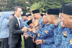 Tak Dapat THR, PPPK Paruh Waktu Gigit Jari 