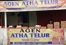 Agen Atha Telur Siap Hadapi Kenaikan Harga Jelang Lebaran