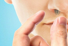 Jangan Mencabut Bulu Hidung, Inilah 6 Dampak Bahaya Apabila Mencabut Bulu Hidung 
