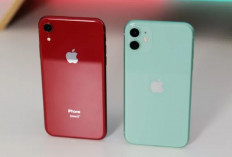 iPhone 11 dan  XR Jadi Andalan Pelajar 2025 Karena Murah, Kencang, dan Tetap Kelas Premium!