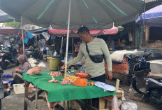 Harga Ayam Potong Naik Lagi, Dipicu Program MBG