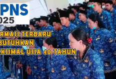 Formasi Seleksi CPNS 2025 Dibuka, Kualifikasi Masih Sama Dengan Sebelumnya, Catatan!
