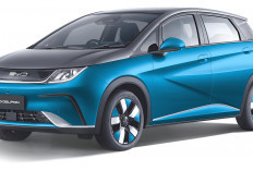 BYD Dolphin Mobil Listrik Kompak yang Siap Menggebrak Pasar