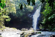 Pesona Curug Tinggi Taba Remanik Musi Rawas, Tawarkan Panorama Alami yang Memanjakan Mata Pengunjung