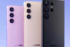 5 Rekomendasi Hp Samsung  Termurah 2024, Punya Desain Mewah dan Harga Terjangkau