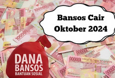 Sudah Cair BPNT Tahap 5 September dan Oktober 2024? Coba Cek Dulu dengan Cara ini