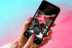 Anti Ribet! Download Video TikTok Tanpa Watermark Cuma 5 Langkah
