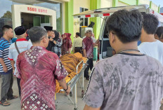 Perihal Uang Jaga Gedung Griya ILUK, Honorer di Dinas PU Muratara Tega Tusuk Temannya