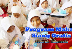 Program Makan Bergizi Gratis di 11 Area, Cek Keseluruhan Sumatera Pakai Nasi