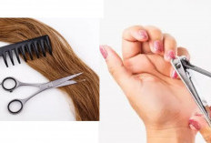 Sebelum Kurban Idul Adha 2025, Ada Batas Waktu Potong Kuku dan Rambut, Ini Kata Ulama