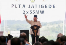 Presiden Prabowo Resmikan 37 Proyek Ketenagalistrikan Nasional, Fondasi Mengejar Target Pertumbuhan Ekonomi 8%