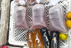 Harga Madu Hitam Lebih Mahal Miliki Khasiat Tersendiri 