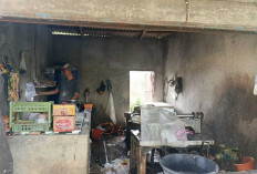 Ramadan Bawa Berkah, Usaha Penggilingan Daging di Tugumulyo Musi Rawas Kebanjiran Pelanggan