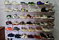 Rekomendasi Sepatu Sneakers Original Pria dan Wanita di Lubuklinggau