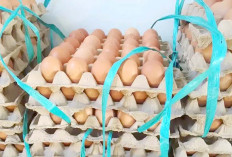 Harga Telur dan Ayam di Pasar Lawang Agung Muratara Bikin Geleng-geleng Kepala
