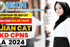 Ikut Tes SKD CPNS 2024, Peserta Wajib Hindari Kesalahan Ini dan Cara Menghindarinya