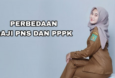 Jangan Salah! Ini Perbedaan Gaji PNS dan PPPK 2024