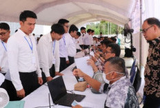 Mengejutkan! 714 Peserta CPNS 2024 Mengundurkan Diri, Begini  Tanggapan Netizen