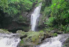 Lagi ke Musi Rawas, Mampirlah ke Air Terjun Curug Tinggi 