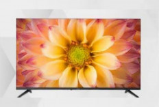 SHARP 43GH3000 Smart TV 43 inci Layar Full HD dengan Fitur Android TV