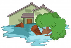 Sungai Rawas Meluap, 6 Kecamatan di Muratara Rawan Banjir