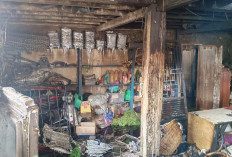 Ditinggal Kondangan Rumah Semi Permanen di Lubuk Linggau Terbakar, Uang Tunai Rp 25 Juta Ikut Terbakar