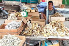 Berbagai Jenis Ikan Asin Tersedia, Harga Bervariasi 