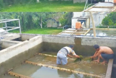 PDAM TBS Lubuk Linggau Dikeluhkan Warga Megang dan Batu Urib, Distribusi Mandek Lagi