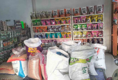 Kimaw Petshop Lubuk Linggau Sedia Seluruh Kebutuhan Hewan Peliharaanmu