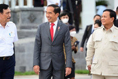 Presiden Jokowi Pesan ke Luhut Terkait Prabowo, Berikut Isi Pesannya 