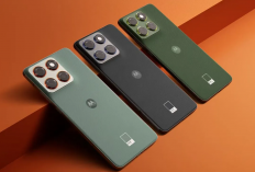 Motorola Comeback! Signature dan Edge 70 Fusion Resmi Meluncur, Ini Harga Lengkapnya