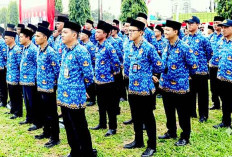 Penting untuk Diketahui PPPK Lubuk Linggau, Status Paruh Waktu Tetap Harus Disiplin dan Ini Sanksinya