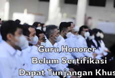 Kabar Gembira! Guru Honorer yang Belum Sertifikasi dapat Tunjangan Tambahan, Ini Kriteria dan Besaran Tunjanga