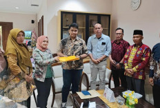 DPRD dan Pemkab Musi Rawas Perjuangkan Pegawai Non ASN Non Database  Jadi PPPK Paruh Waktu