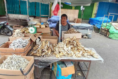 Bosan Daging di Hari Ketiga Lebaran? Ikan Asin Jadi Penyelamat Selera 