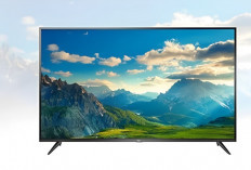 5 Smart TV TCL Layar Besar, Harga Terjangkau dan Fitur Lengkap Terbaik September 2024