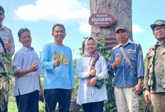 Komunitas Durian Linggau Ambil Entres Durian Unggul Tindak Lanjut Kontes Durian Linggau 2025  