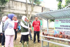 Ketua TP PKK Lubuk Linggau Salurkan Bantuan Ayam Petelur untuk Masyarakat Miskin Ekstrem