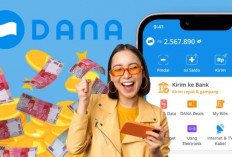 Crashy Cars: Game Baru Penghasil Saldo DANA Gratis 2025 Terbukti Membayar, Bukan Sekadar Janji