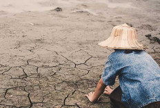 Fenomena El Nino, TNKS Tingkatkan Kewaspadaan Karhutlah di Muratara