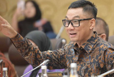 Kualitas Layanan Terus Meningkat, Komisi XII DPR RI Apresiasi Aplikasi PLN Mobile