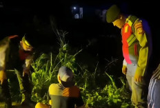 H Seorang Buruh di Lubuk Linggau Kedapatan berkeliaran di Kantor Camat Malam Hari Kedapatan Bawa Sajam 