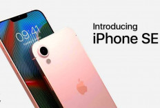 Intip Spesifikasi iPhone SE 3 2024, Hp iPhone Murah Dengan Chipset A15 Bionic yang Setara iPhone 13 Pro