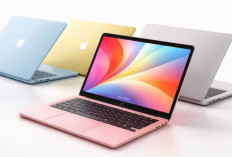 MacBook Neo Gebrak Pasar Laptop Pelajar, Tawarkan Performa Kencang dan Desain Premium di Kelas Terjangkau