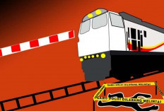 Seorang Pelajar SMP di Lubuk Linggau Jadi Korban Tabrak Kereta Api
